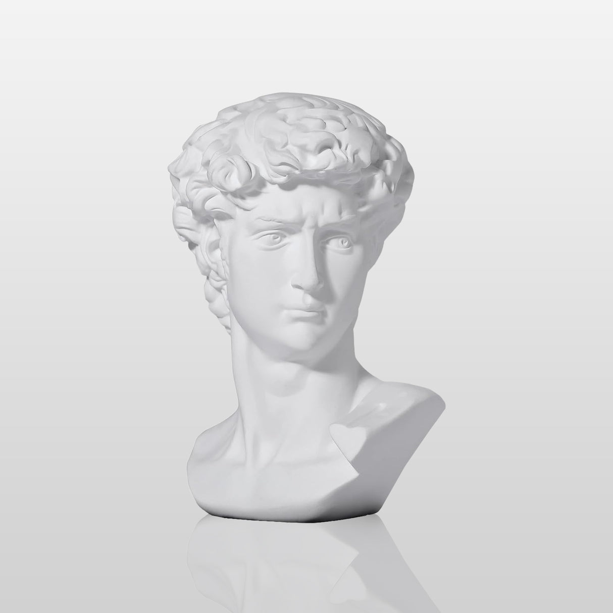 PREMIER Classic David Statue Bust Renowned Michelangelo-Inspired Sculpture for Home or Office PSTTM-009-Marble sculpture-PREMIER SCULPTURE
