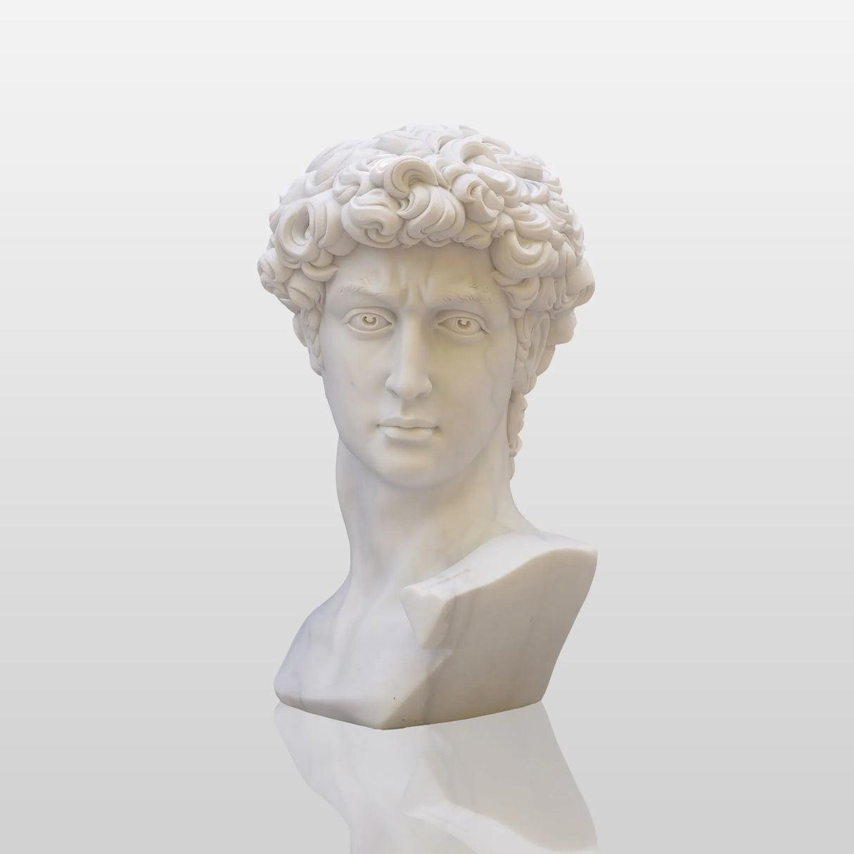 PREMIER Classic David Statue Bust Renowned Michelangelo-Inspired Sculpture for Home or Office PSTTM-009-Marble sculpture-PREMIER SCULPTURE