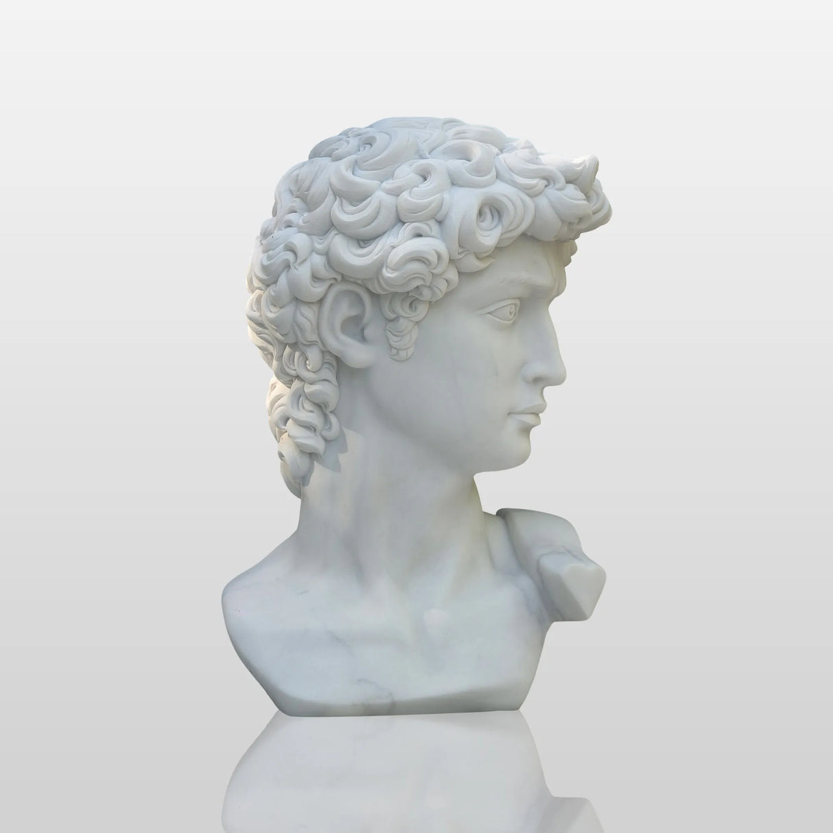 PREMIER Classic David Statue Bust Renowned Michelangelo-Inspired Sculpture for Home or Office PSTTM-009-Marble sculpture-PREMIER SCULPTURE