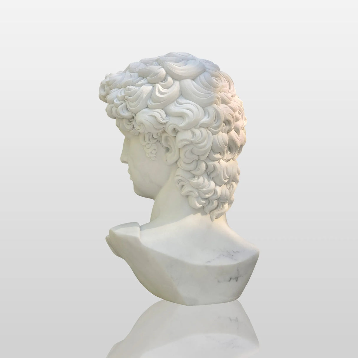 PREMIER Classic David Statue Bust Renowned Michelangelo-Inspired Sculpture for Home or Office PSTTM-009-Marble sculpture-PREMIER SCULPTURE