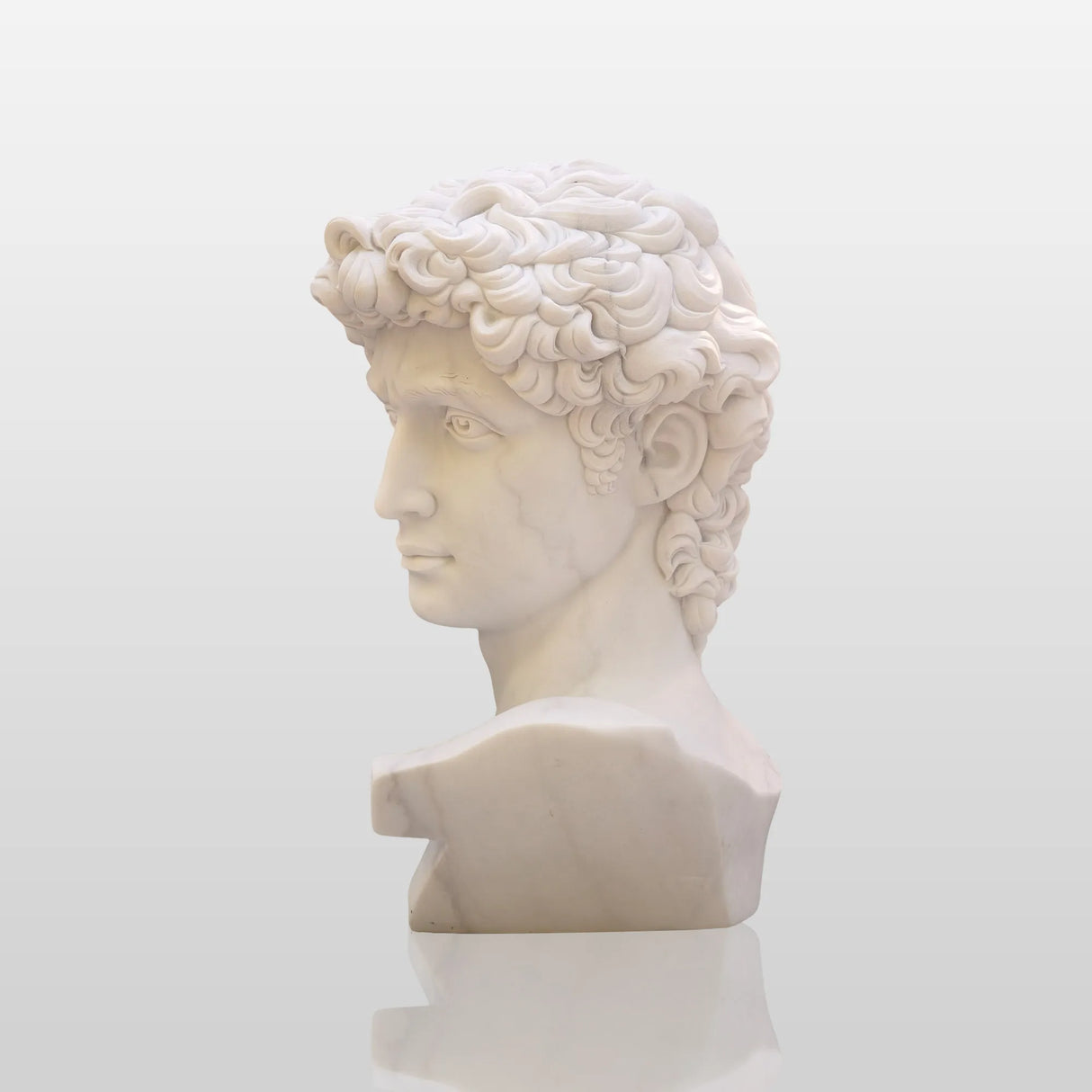 PREMIER Classic David Statue Bust Renowned Michelangelo-Inspired Sculpture for Home or Office PSTTM-009-Marble sculpture-PREMIER SCULPTURE