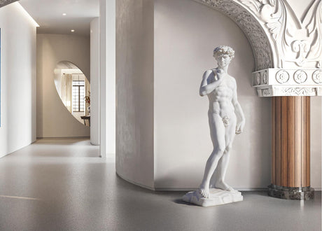 Michelangelo's David Sculpture