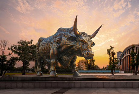 Large Bull Bronze Sculpture