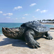 PREMIER Bronze Alligator Snapping Turtle Statue for Pool Edge, Seaside Lawn and Town Open Space PSB-211-Bronze Sculpture-PREMIER SCULPTURE