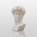 PREMIER Classic David Statue Bust Renowned Michelangelo-Inspired Sculpture for Home or Office PSTTM-009-Marble sculpture-PREMIER SCULPTURE