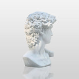 PREMIER Classic David Statue Bust Renowned Michelangelo-Inspired Sculpture for Home or Office PSTTM-009-Marble sculpture-PREMIER SCULPTURE