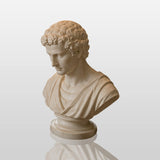 PREMIER Classic Marble Male Bust Statue for Study Desk, Mantel Top or Entry Table PSM-189-Marble sculpture-PREMIER SCULPTURE