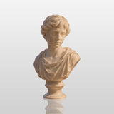 PREMIER Classic White Marble Male Bust Statue for Study Desk, Writing Desk or Office Table PSM-172-Marble sculpture-PREMIER SCULPTURE