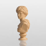 PREMIER Classic White Marble Male Bust Statue for Study Desk, Writing Desk or Office Table PSM-172-Marble sculpture-PREMIER SCULPTURE
