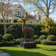 Bronze deer statue stands on the green lawn in front of a residential house.