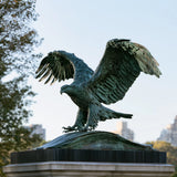 Patinated bronze eagle statue with wide spread wings stands on stone monument in the outdoor public space.