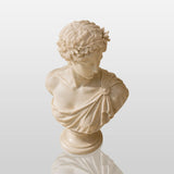 PREMIER Marble Male Bust Statue for Entry Console, Living Room, Study Desk or Gallery Display Table PSM-171-Marble sculpture-PREMIER SCULPTURE