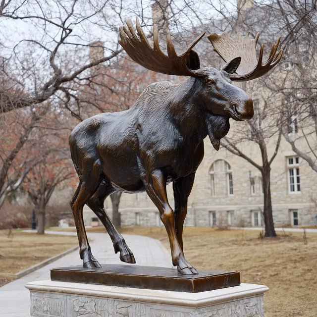 PREMIER Realistic Bronze Sculpture with Walking Moose Design for Campus Lawns, Plazas, Parks, Gardens or Zoo Entrances PSB-191-Bronze Sculpture-PREMIER SCULPTURE