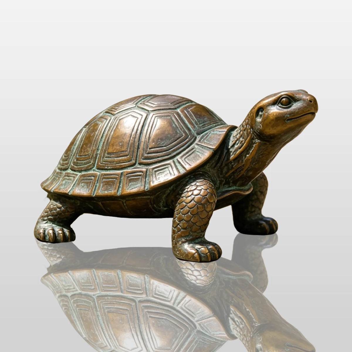 PREMIER Realistic Bronze Turtle Statue for Patio, Park Walkway or Resort Garden PSB-259-Bronze Sculpture-PREMIER SCULPTURE