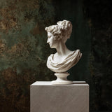 PREMIER Elegant Female Bust Sculpture, Classical Hand-Carved Stone Statue for Modern Home and Art Gallery Decor PSM-127-Marble sculpture-PREMIER SCULPTURE