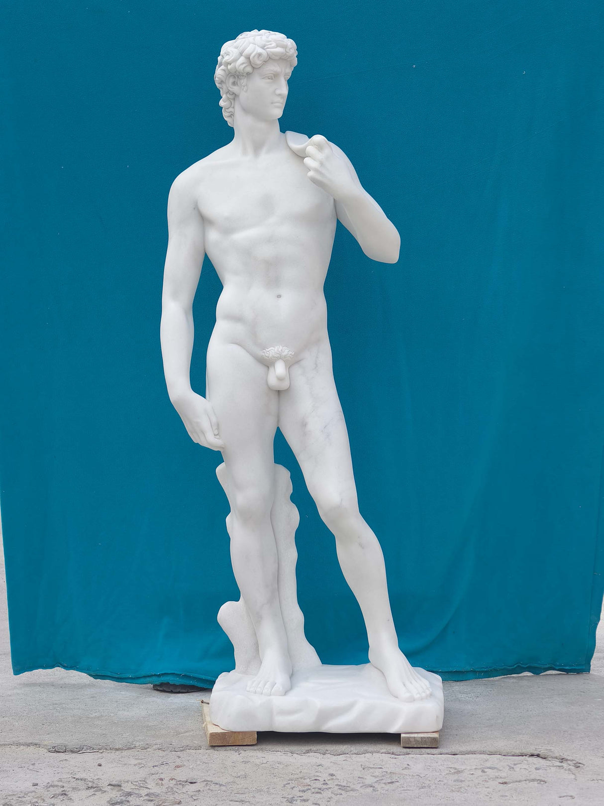 PREMIER Classic White Marble David Sculpture PSM-030-#PRS1221-Rest of Payment Custom Link for Robert Phillips