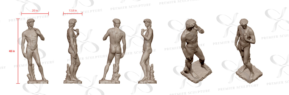 PREMIER Classic White Marble David Sculpture PSM-030——50% Deposit payment for Bob