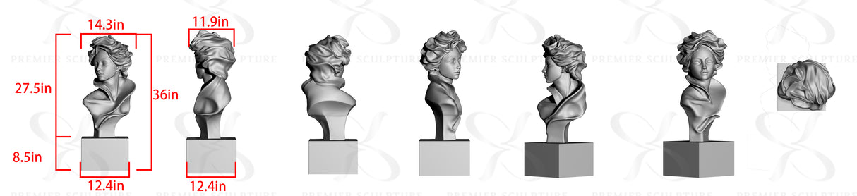 PREMIER Abstract Female Bust PSTTM-012——50% Deposit payment for Fran Smith